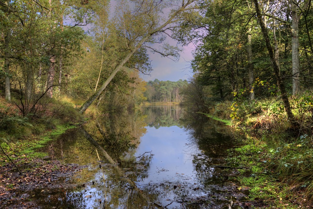 Oisterwijkse Bossen en Vennen Kampina natuurgebied natuur oisterwijk Nationaal park Landschap Het Groene Woud hei heide bossen natuurmonumenten brabant baronie boswachterij dorst